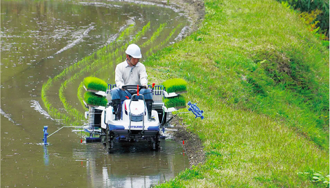 乗用田植え機・歩行田植え機。費用対効果はどっちが高い？ | アグリ 