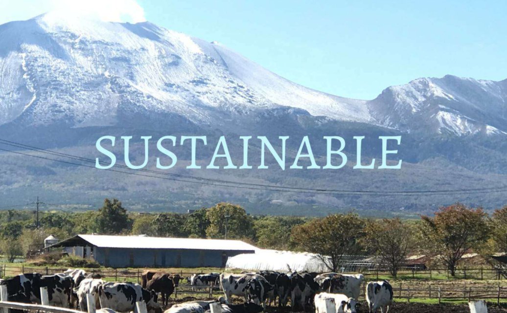 SDGS 1