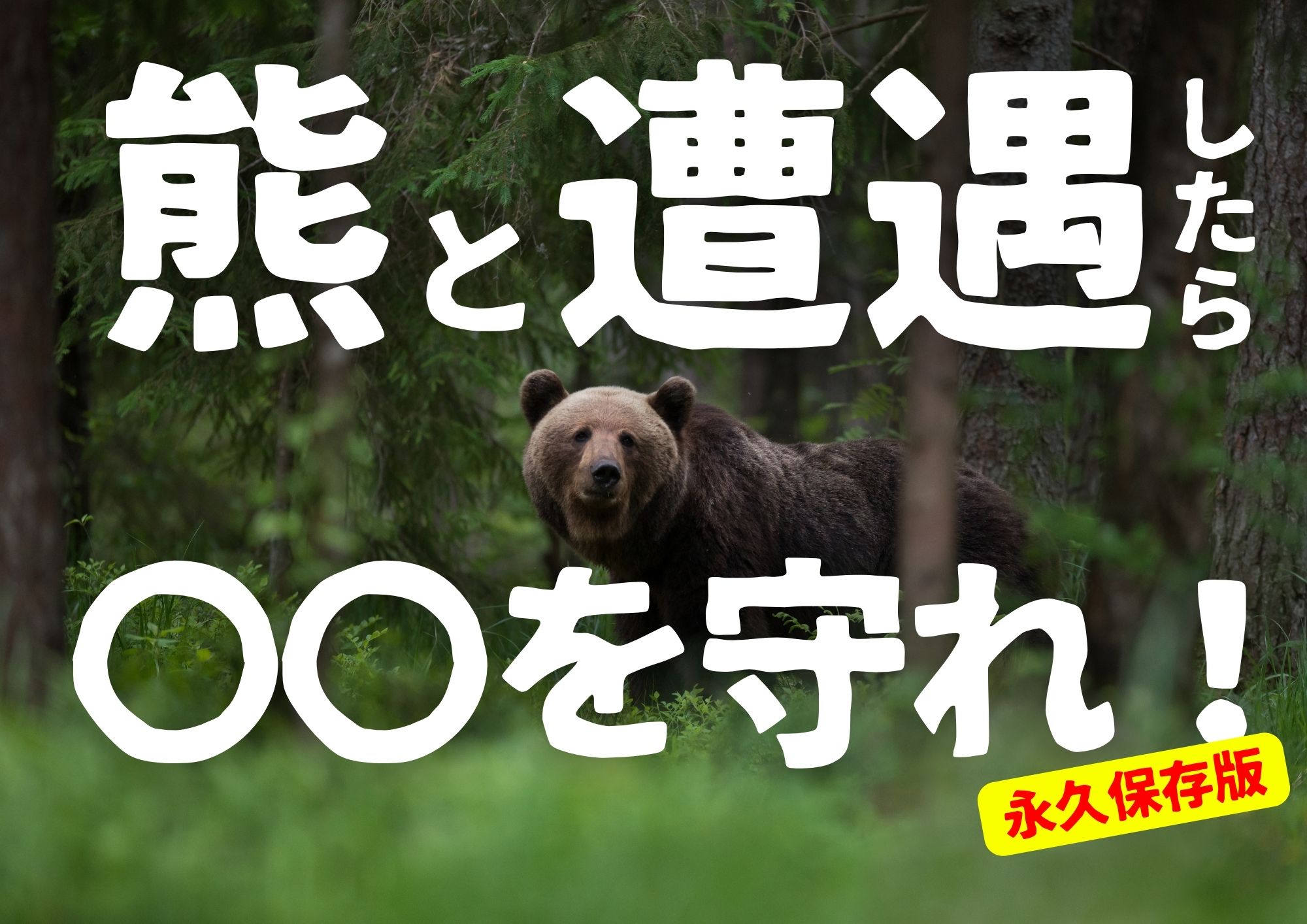 2025 クマ被害】死んだふりはNG× アイヌの狩人・生還者から学ぶ クマと 