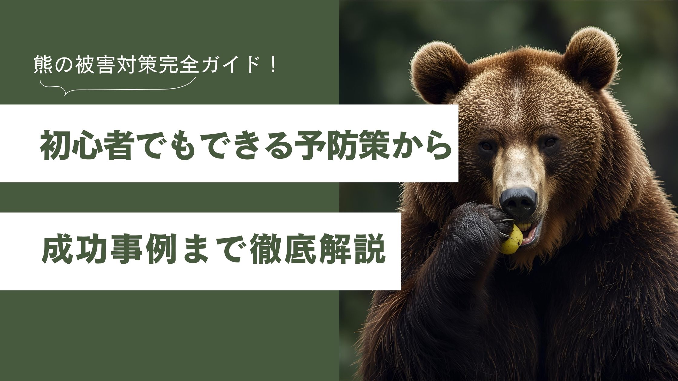 【2025年最新】熊の被害対策完全ガイド！初心者でもできる予防策から国の支援、成功事例まで徹底解説